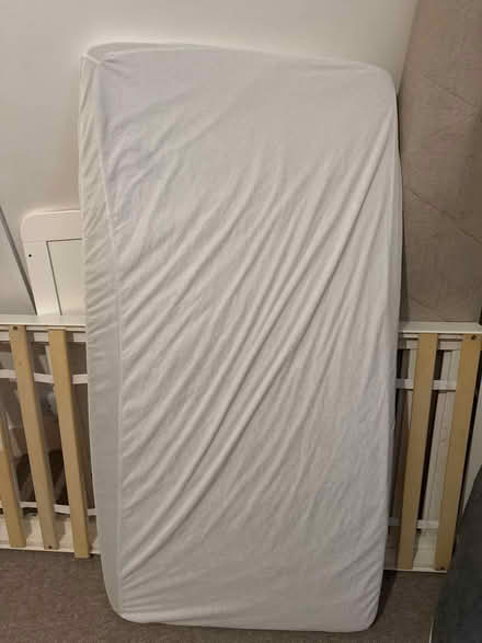 Photo of free Babycot with mattress (Bermondsey SE1) #2
