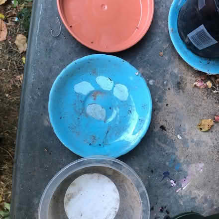 Photo of Old Saucers for plants (Brundall NR13) #1