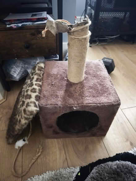 Photo of free Small Cat box (Coulsdon, CR5) #1