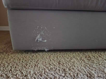 Photo of free Lovesac sectionals (Chandler AZ) #2