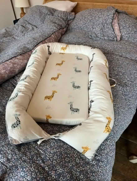 Photo of free Judoka baby nest (Tarners hill SE8) #1