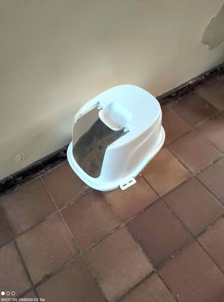 Photo of free Cat litter box (Anerley SE20) #1