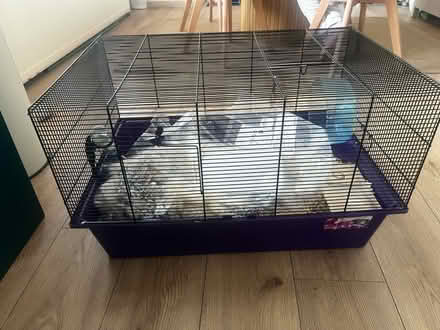 Photo of free Hamster Cage (Enfield N21) #1