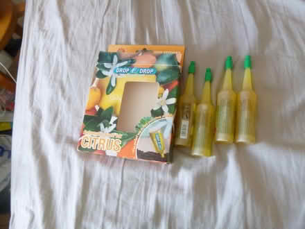 Photo of free Citrus plant drip feeds (Greenford UB6) #1