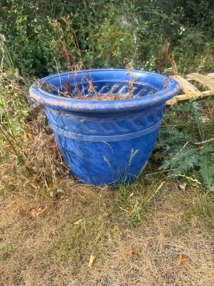 Photo of free 3 Large flower pots 1 w corderline (Lewes Bn7 BN7) #3