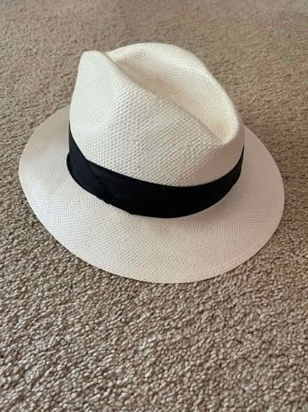 Photo of free Panama Hat (Lucas Valley) #1