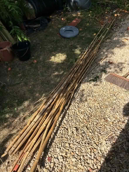 Photo of free Bamboo canes (Weston BA1) #1
