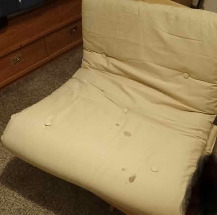Photo of free Sofa bed single (Silverstone NN12) #3