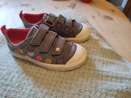 Photo of free Clark's canvas shoes (Brockley SE4) #1