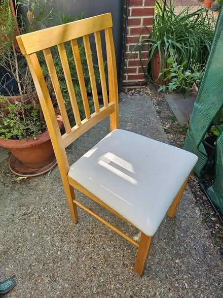 Photo of free X2 dining chairs (Gosport PO12) #1