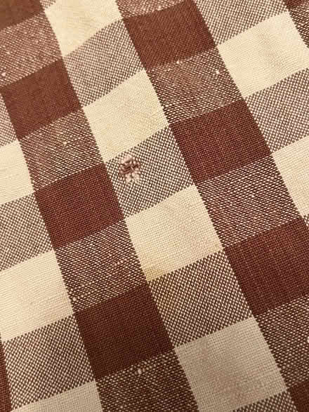 Photo of free Cotton checkered tablecloth (Hintonburg) #2