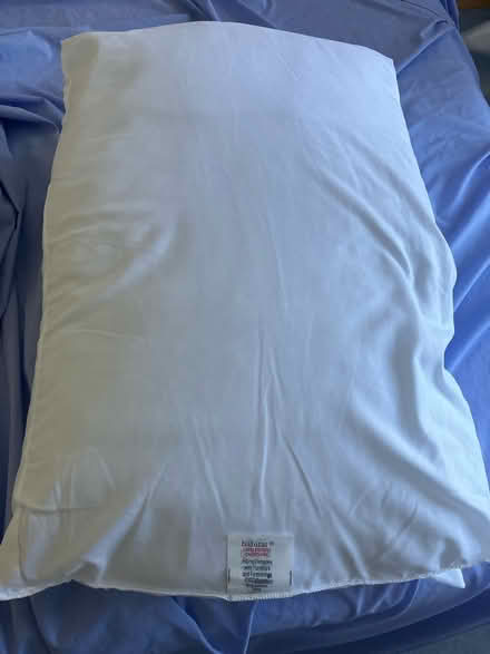 Photo of free 2 pillows (W5) #1