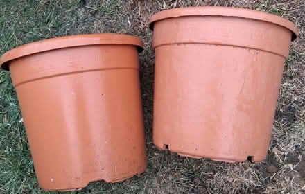 Photo of free Plastic plant pots (South Wootton PE30) #1