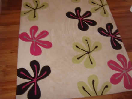 Photo of free Rug (Durrington BN13) #1