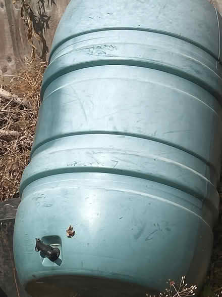 Photo of free Water butt (Rushwick WR2) #1