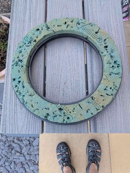 Photo of free Oasis wreath (Banister Park SO15) #1
