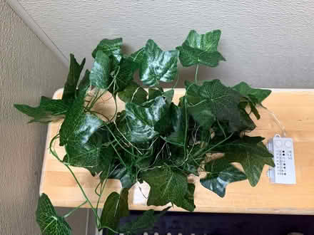 Photo of free Artificial ivy vine-remote control (1075 Valencia Avenue) #1
