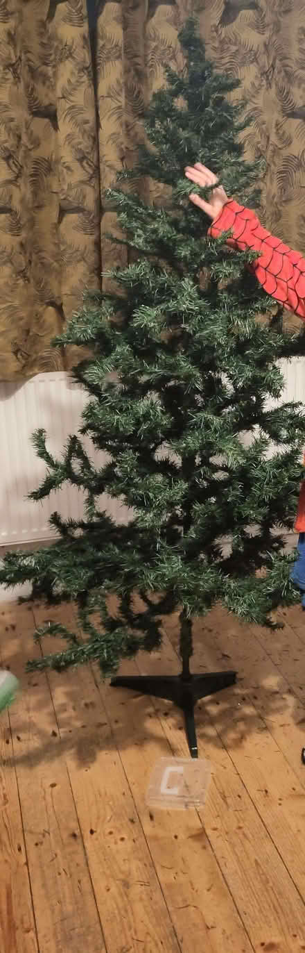 Photo of free Christmas Tree (Kitts Green B33) #1