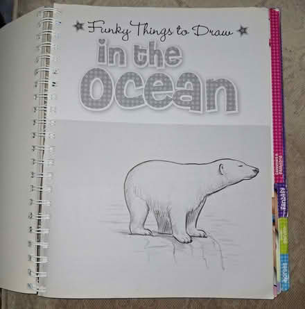 Photo of free How to draw fairies + file book (Low Beechburn DL15) #2