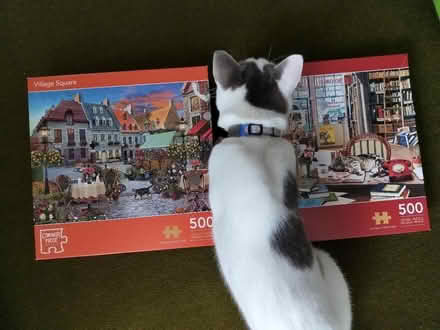 Photo of free Jigsaw puzzles (High Shincliffe DH1) #1