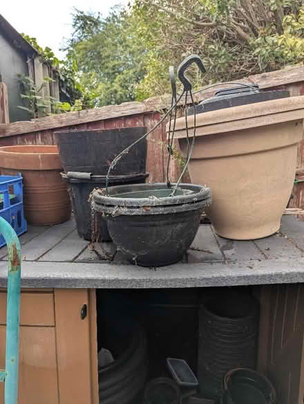 Photo of free Plant pots Planters .Seed Trays etc (Blacon CH1) #2