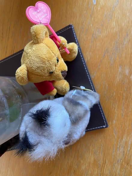 Photo of free Teddy & owl (Stanton Harcourt OX29) #1