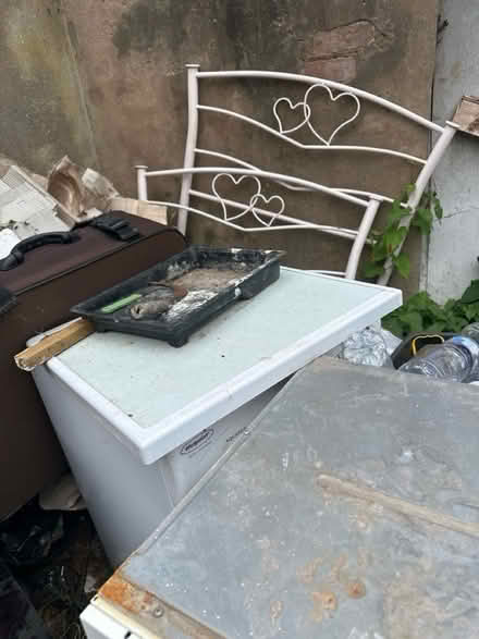 Photo of free Oven, washing machine etc. spare (Small Heath B10) #4
