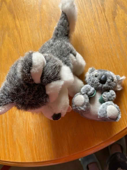 Photo of free Soft toys (Stanton Harcourt OX29) #2