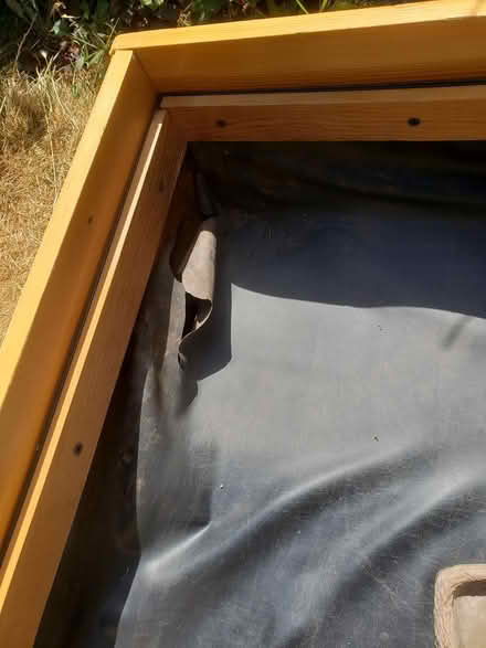 Photo of free Tortoise table (Forest Green) #3