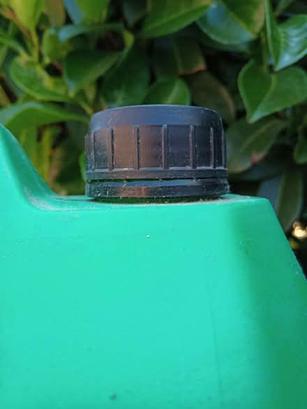 Photo of free B&Q Spray-on Timber Care Shed/Fence Protector (Enfield EN2) #3