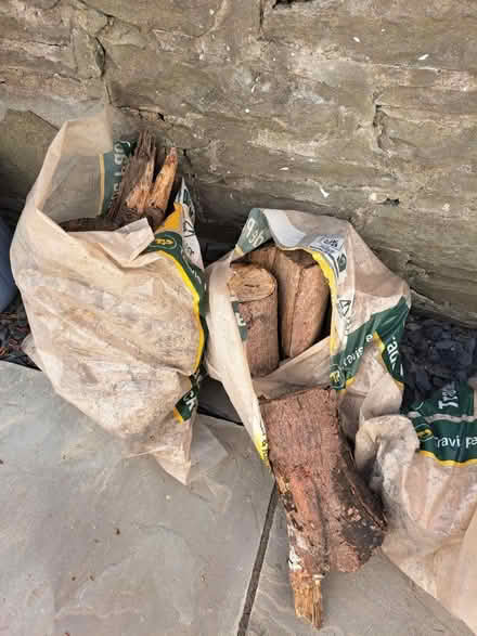 Photo of free Cut logs (CF82 7EF) #1