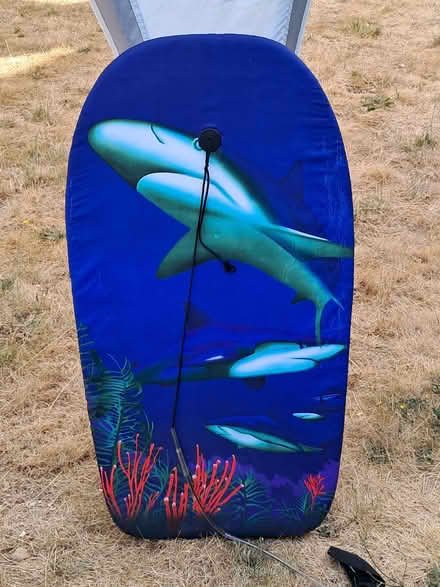 Photo of free 2 x Bodyboards (Didcot OX11) #3