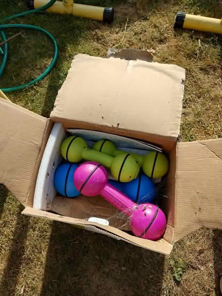 Photo of free assorted dumbells (St. Dunstan's CT2) #1