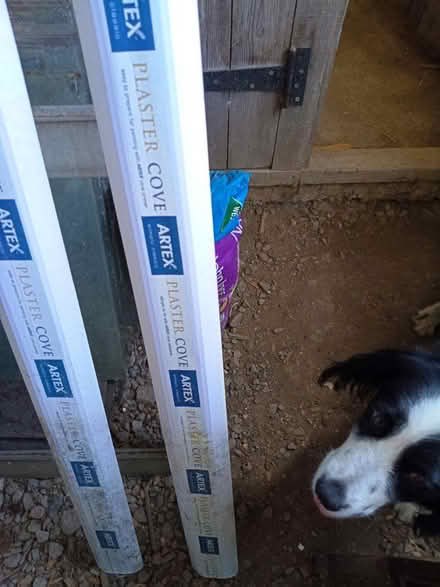Photo of free Artex plaster coving (Teynham ME9) #3