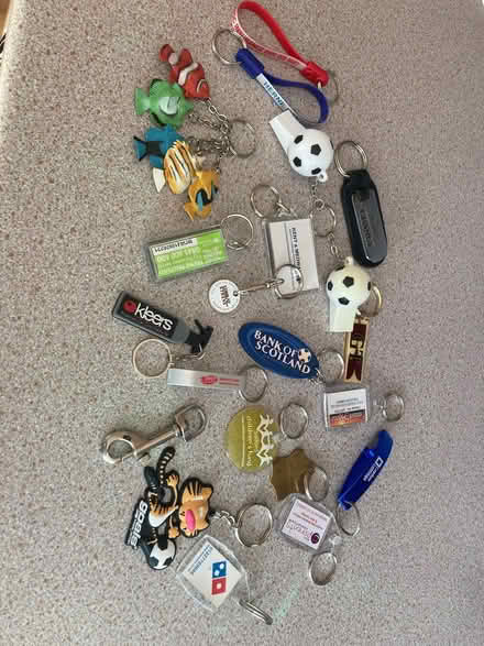 Photo of free Assorted keyrings (Lamorbey DA15) #1