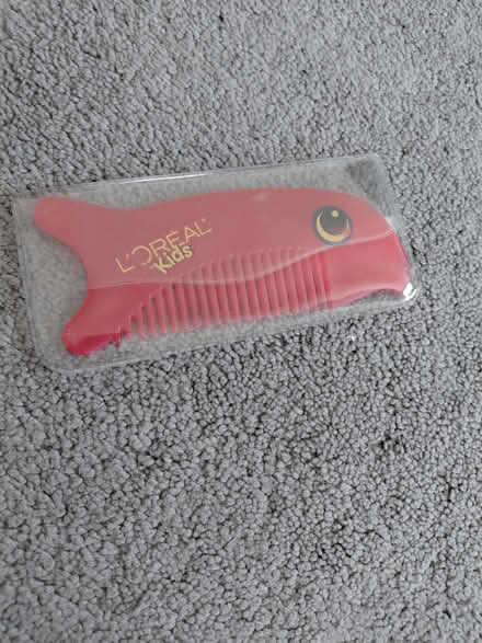 Photo of free L'oreal comb (Norwood SE27) #1