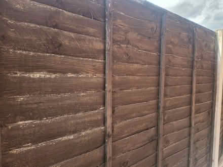 Photo of free 9 Wooden Fence Panels (5ft High) (Loughborough) #2