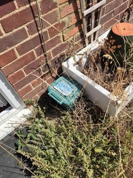 Photo of free Small kitchen bin (Cumnor OX2) #1