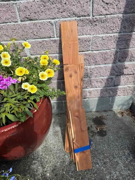 Photo of free Cedar boards (lining for closets) (Shoreline) #1