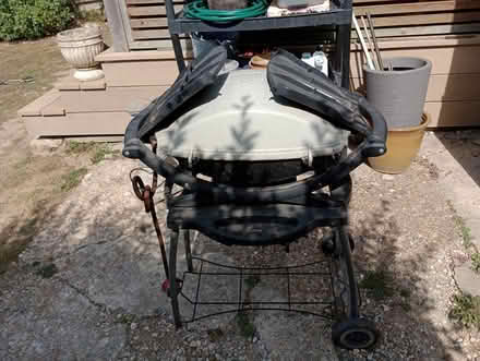 Photo of free Has Barbeque (Hastings TN34) #2