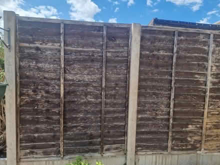 Photo of free 9 Wooden Fence Panels (5ft High) (Loughborough) #1