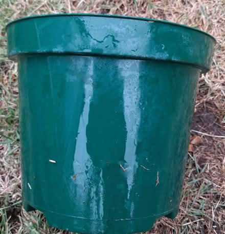 Photo of free Plastic plant pots (South Wootton PE30) #2