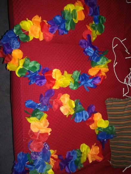Photo of free Flower garlands (Iffley Road OX4) #1