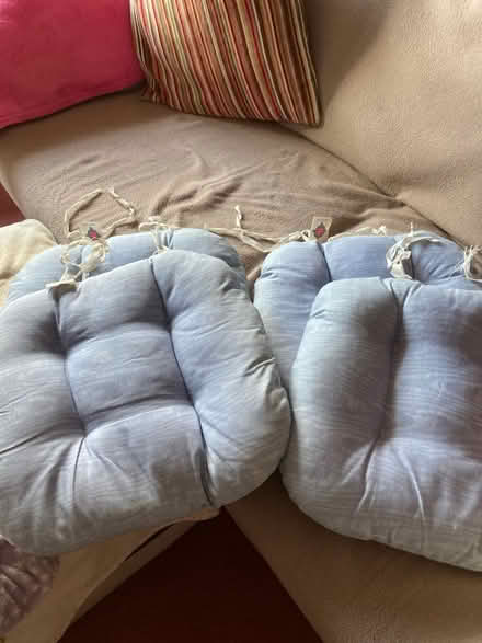 Photo of free Seat pads x4 (Worcester WR4) #1