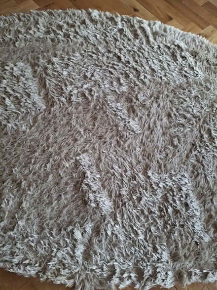 Photo of free Laura Ashley large oval rug (Weaverham) #2