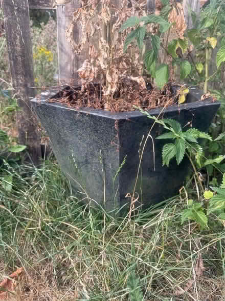 Photo of free 3 Large flower pots 1 w corderline (Lewes Bn7 BN7) #2