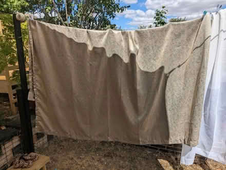 Photo of free 90 x 90 gold eyelet curtains (Grangeway area NN10) #3