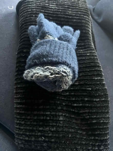 Photo of free Gloves/snood (Battersea SW11) #1