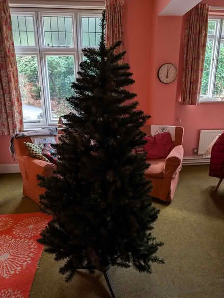 Photo of free Artificial christmas tree (Parkstone) #1