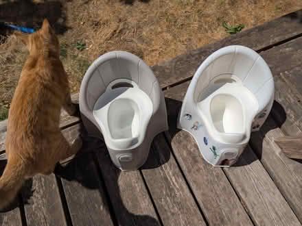 Photo of free Two potties (cat not included) (South Croydon CR2) #1